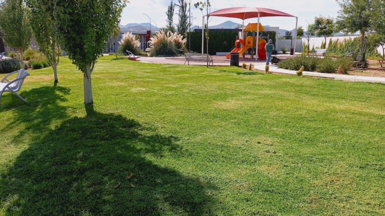 8111 jardineria natura 768x432