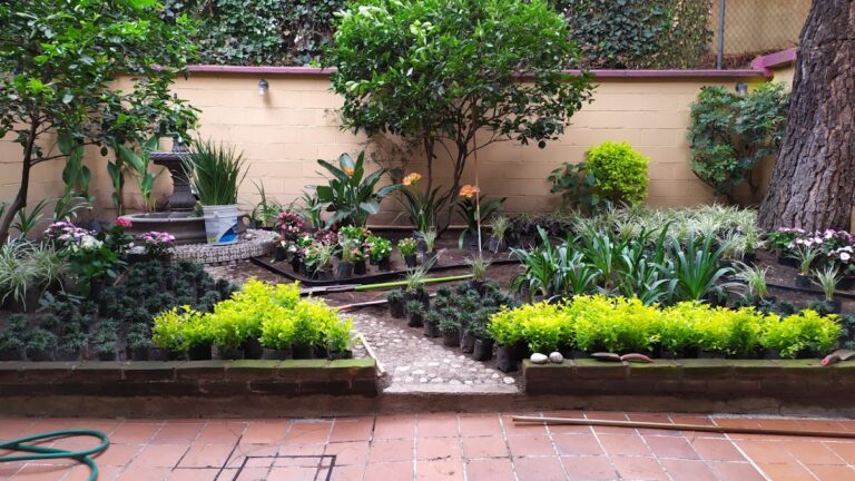 8124 jardify 8211 jardineria en cdmx 768x432