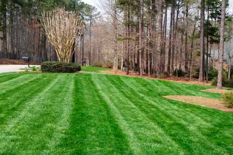 8128 jardineros a domicilio cdmx jardineria santa fe polanco pedregal 768x512