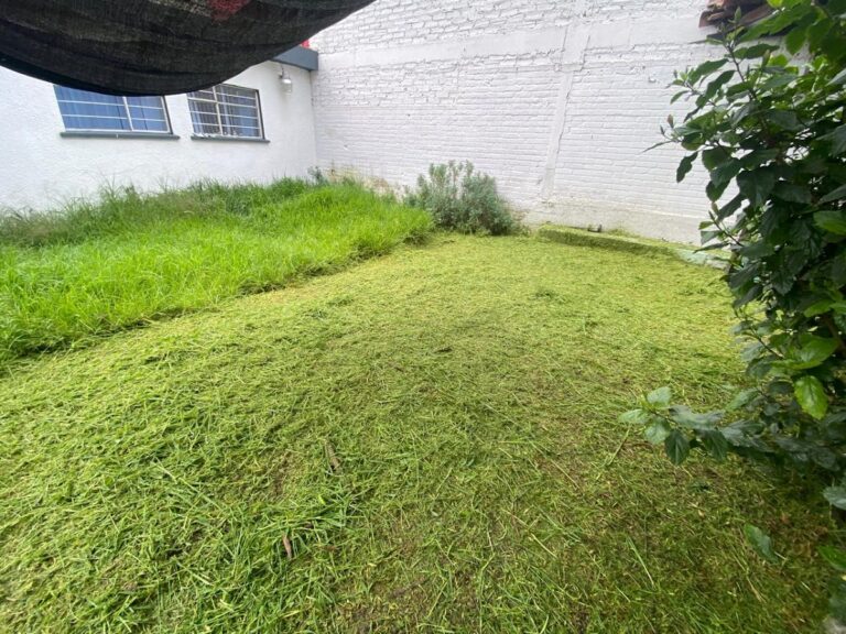 8130 dm garden 768x576