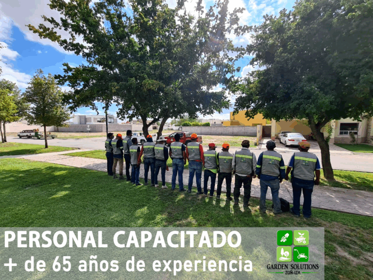 8141 garden solutions 768x576