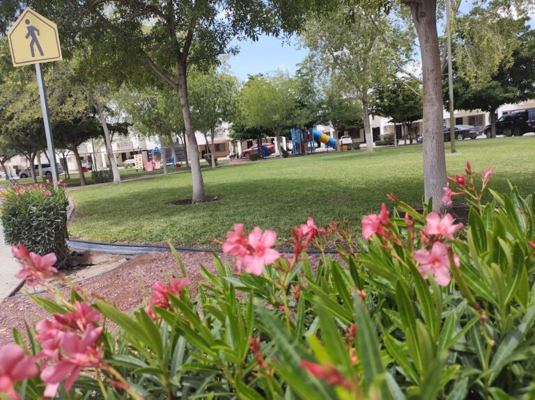 8143 evergreen jardineria torreon 768x575