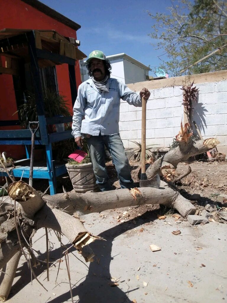 8146 jardinero menchaca 768x1024