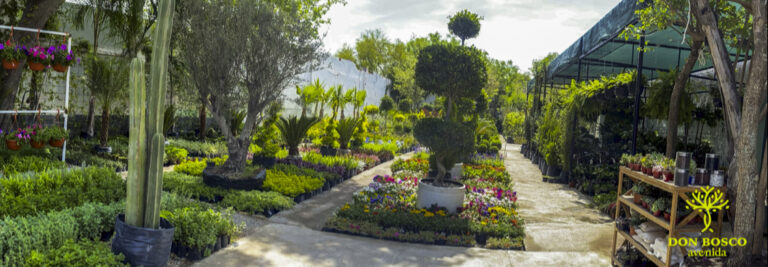 8162 don bosco avenida vivero 768x267