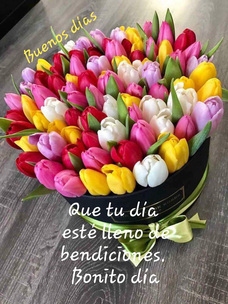 8179 jardinero al 100