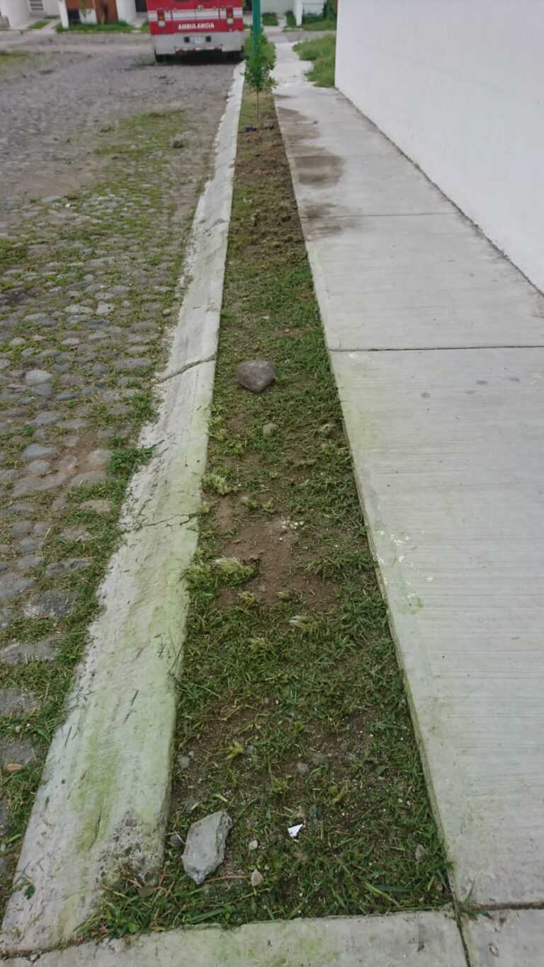 8181 jardineria moreno 768x1366