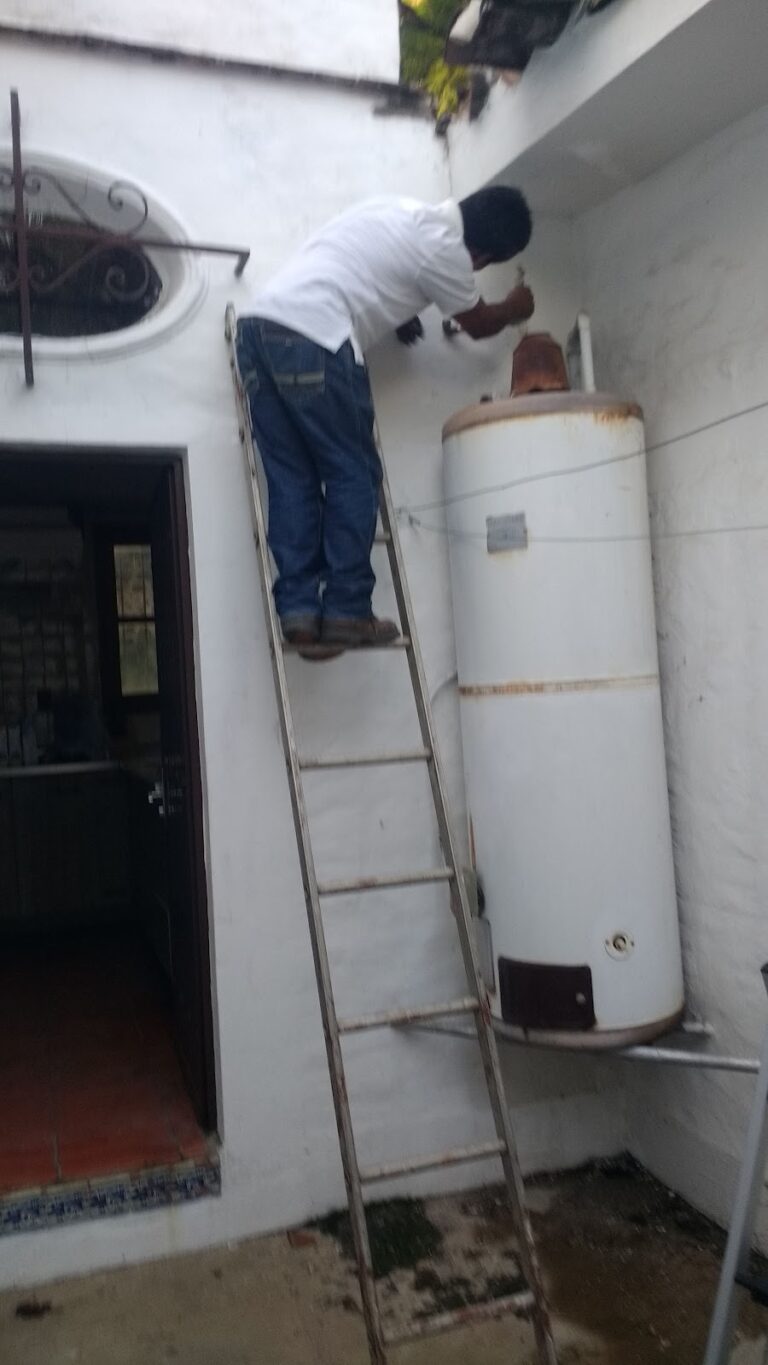 819 central de plomeros 768x1365