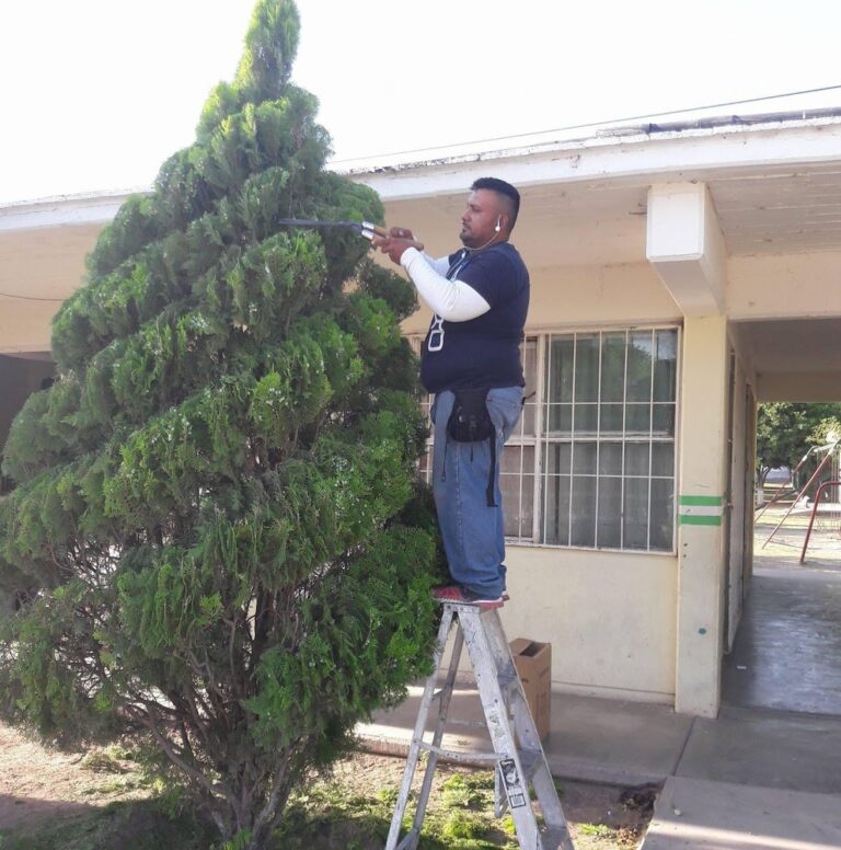 8198 disenos jardinesy figuras 768x776