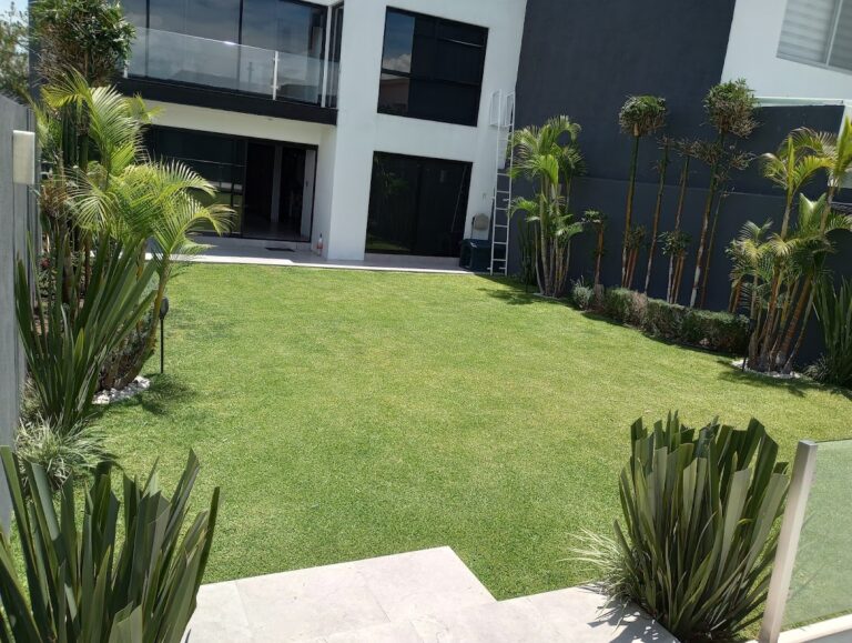 8202 servicio de jardineria en general don luis 768x579