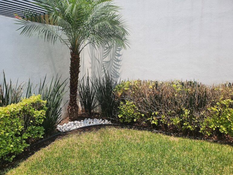 8204 albertos jardineros 768x576