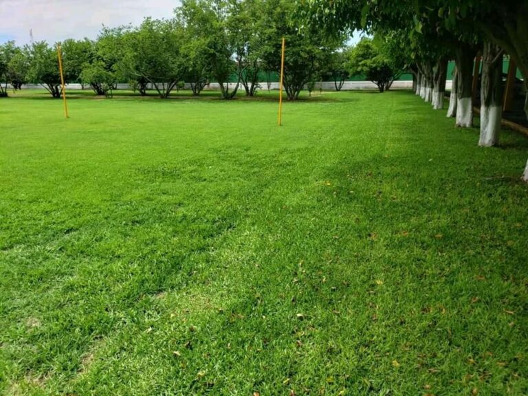 8212 jardineria profesional 768x576