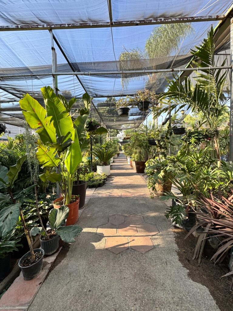 8216 arte y jardin vivero fc 768x1024