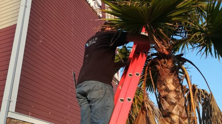 8220 jardineria celaya 768x431