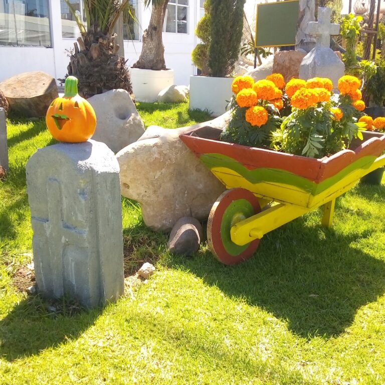 8246 jardineria distintiva paisajismo 768x768