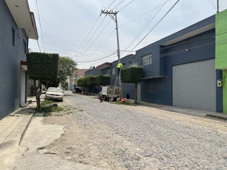 8249 jardineros de jalisco 768x576