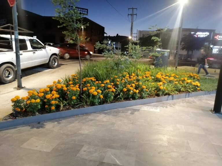 8253 green garden jardineria 768x576