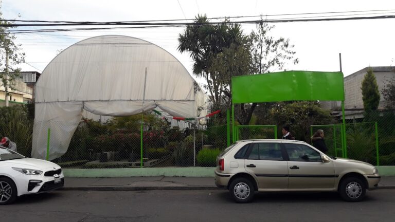 8276 agrojardin 768x432