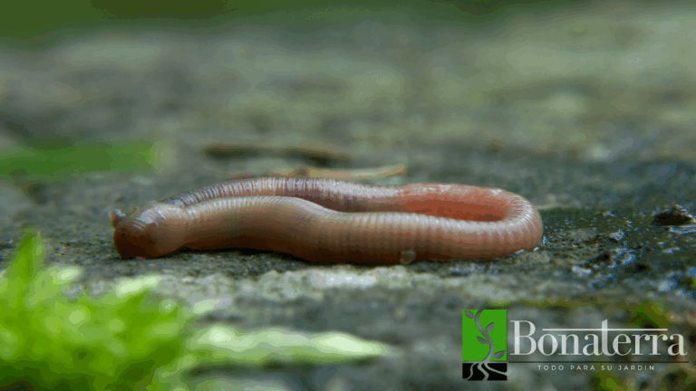 8287 centro jardinero echegaray 8211 bonaterra 768x432