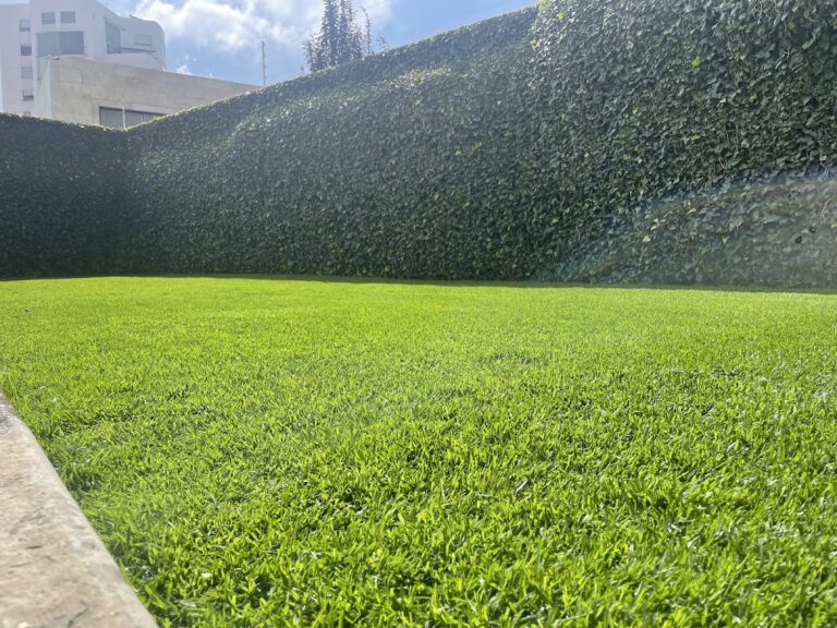 8289 gras jardineria y mantenimiento de areas verdes 768x576