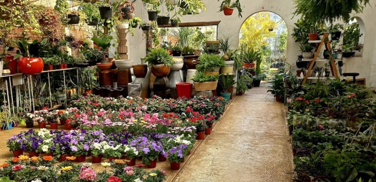 8312 viveros jardin 768x372