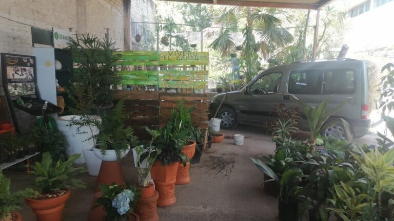 8343 el bambu 768x432