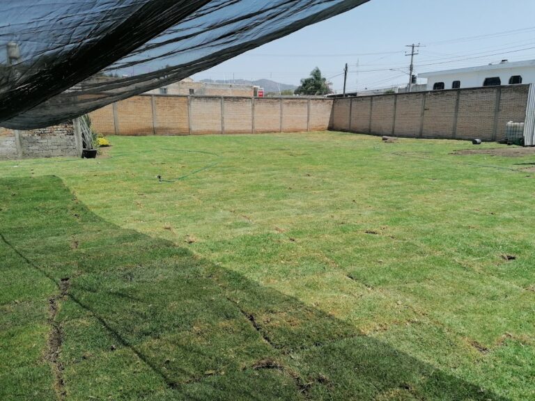 8346 pasto el paraiso 768x576