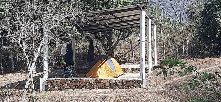 8387 jardin botanico 768x355