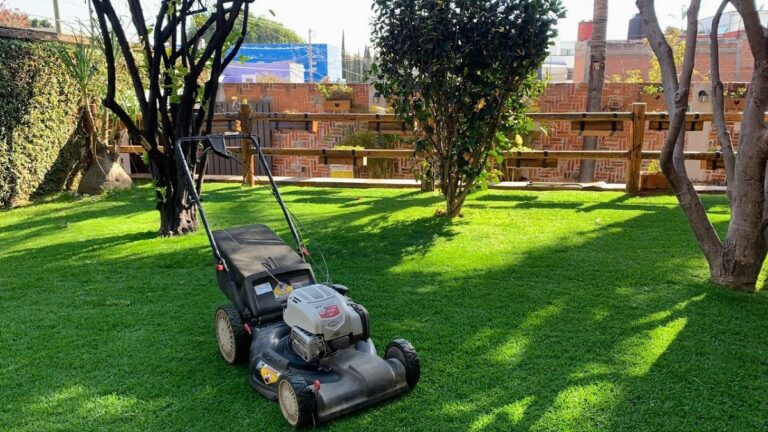 8404 jardineria juarez 768x432