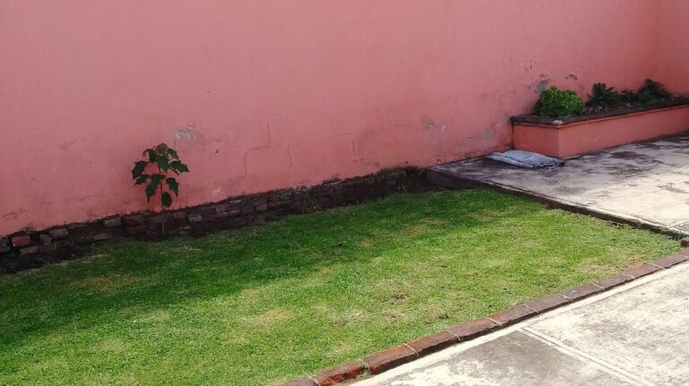 8406 jardinero cholula. zerezotla 768x431