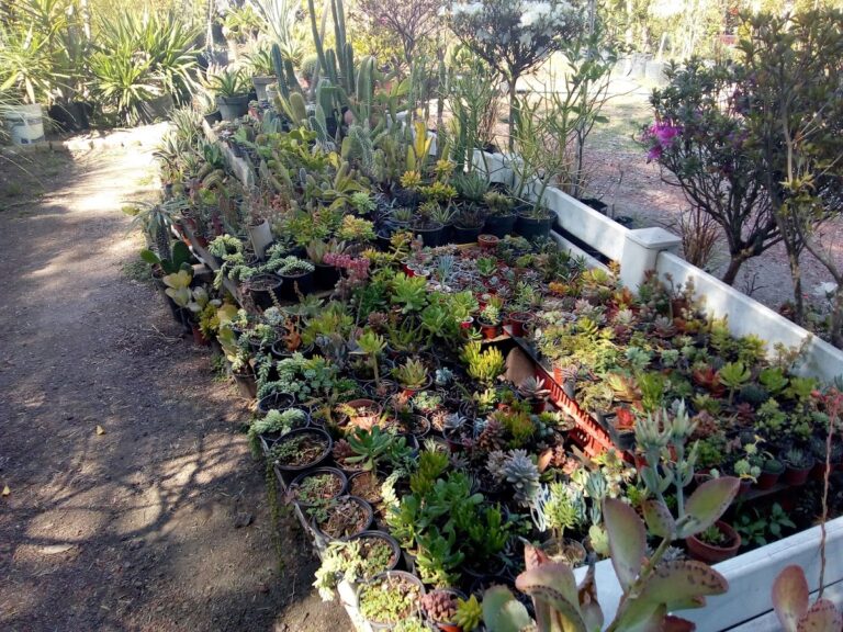 8425 espacios verdes 768x576