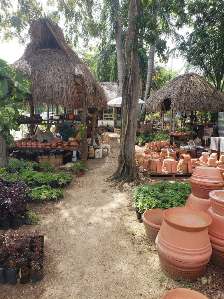 8427 todo jardin 768x1024