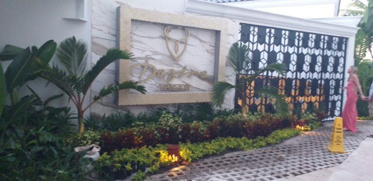 8433 vivero all green 768x373