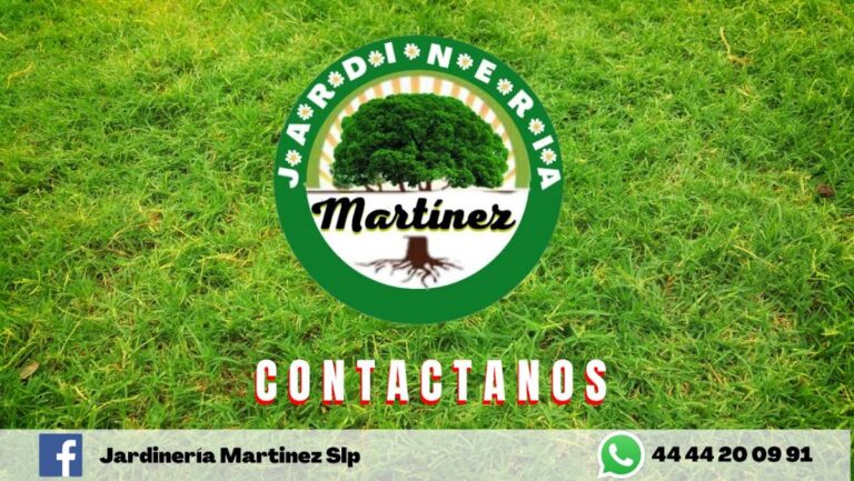 8446 jardineria martinez slp 768x433