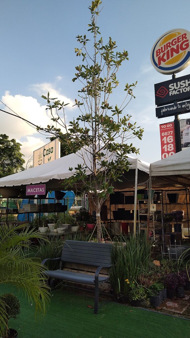 8456 casa y jardin 768x1365