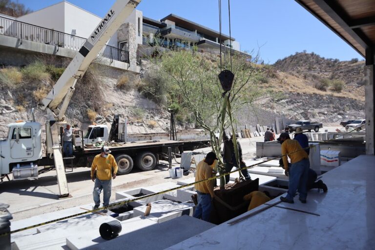 8484 arbol 2000 landscaping 768x512