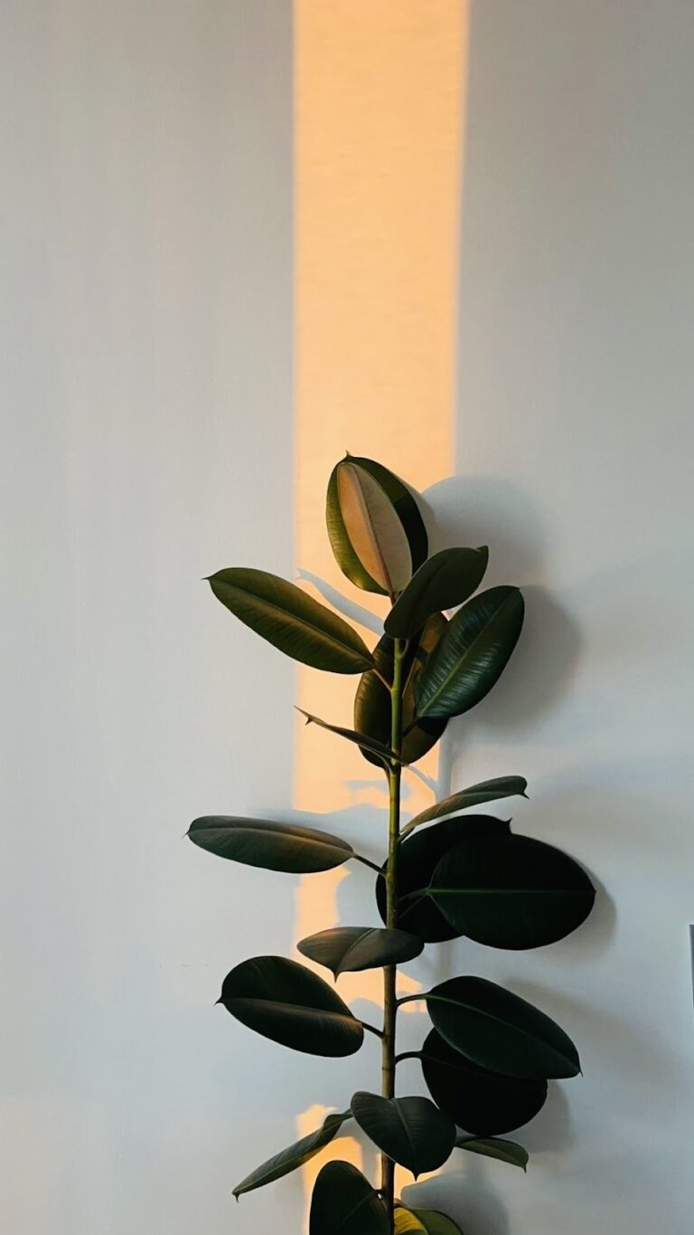 8507 vivero oasis verde tampico 768x1365