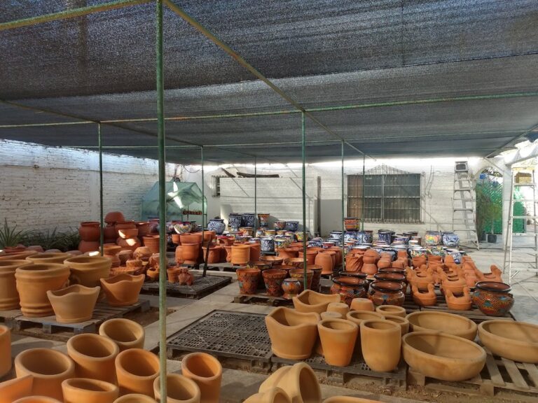 8515 vivero mi jardin 768x576