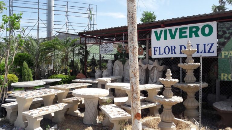 8517 vivero el vergel 768x432