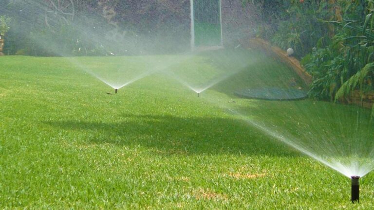 8555 green jardineria 768x432