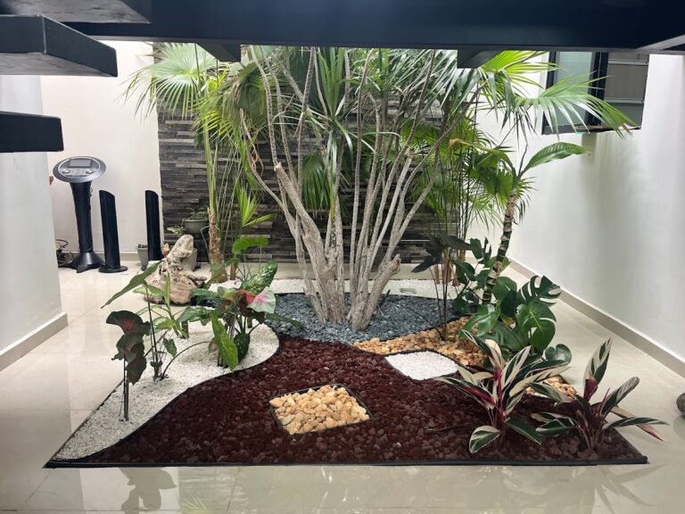 8563 mi jardin mx 768x576