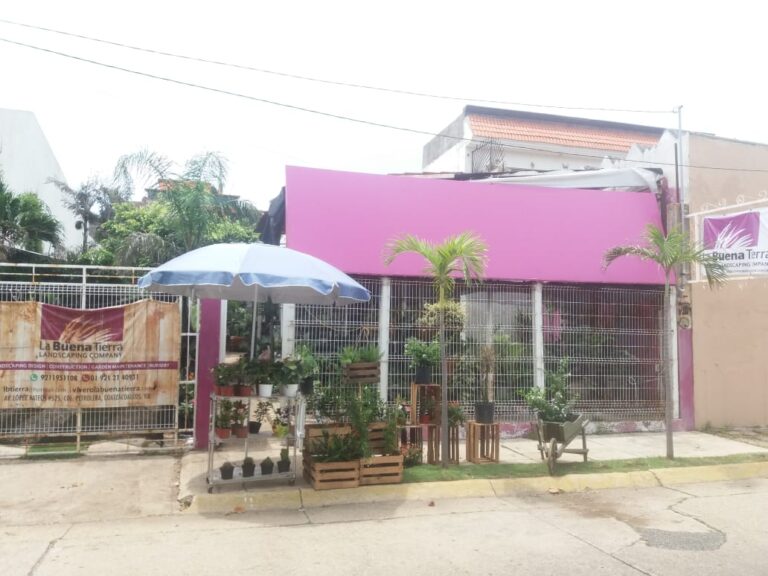 8567 vivero la buena tierra 768x576