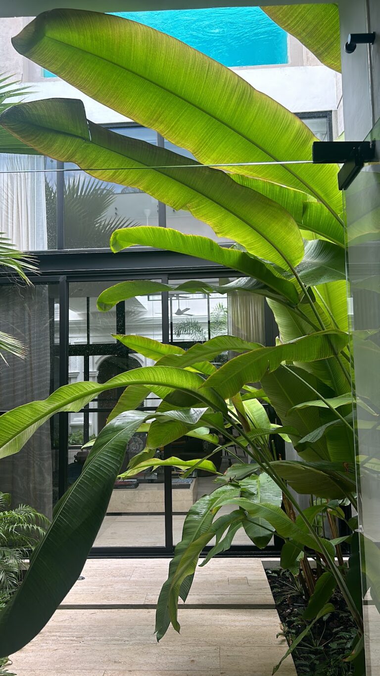 8591 verde vida luxury gardening 768x1365