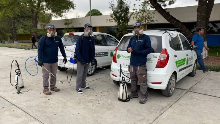 8602 fumigaciones proplag 768x432