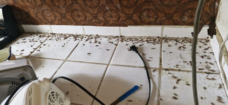 8604 fumigaciones tecnicas 768x355