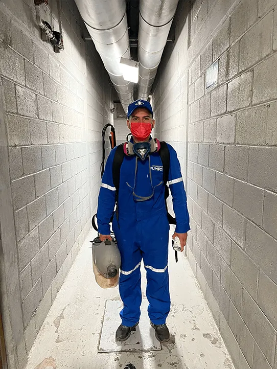 8606 fumigaciones en aguascalientes y control de plagas fumicin