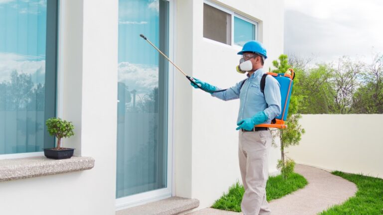 8608 fumigaciones san marcos 768x432