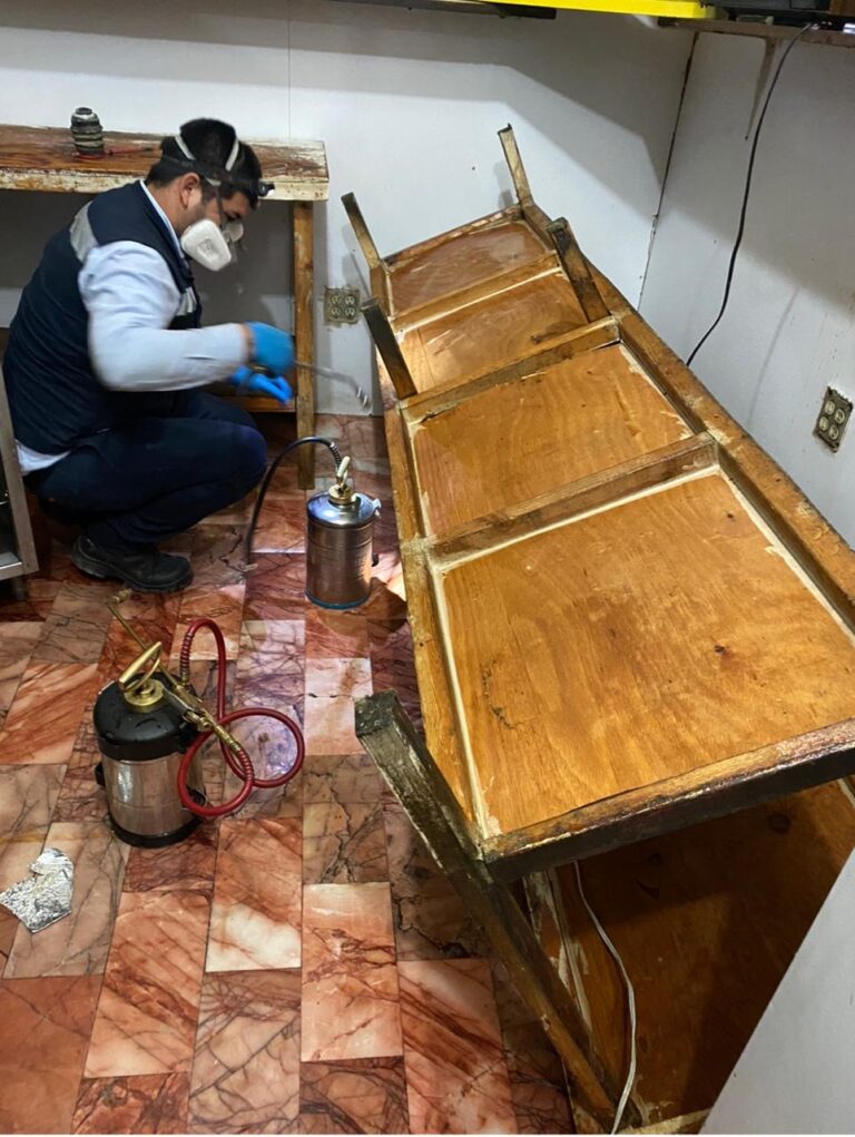 8618 fumigaciones bajamex 768x1021