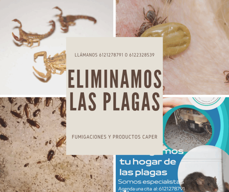 8636 fumigaciones y productos caper 768x644