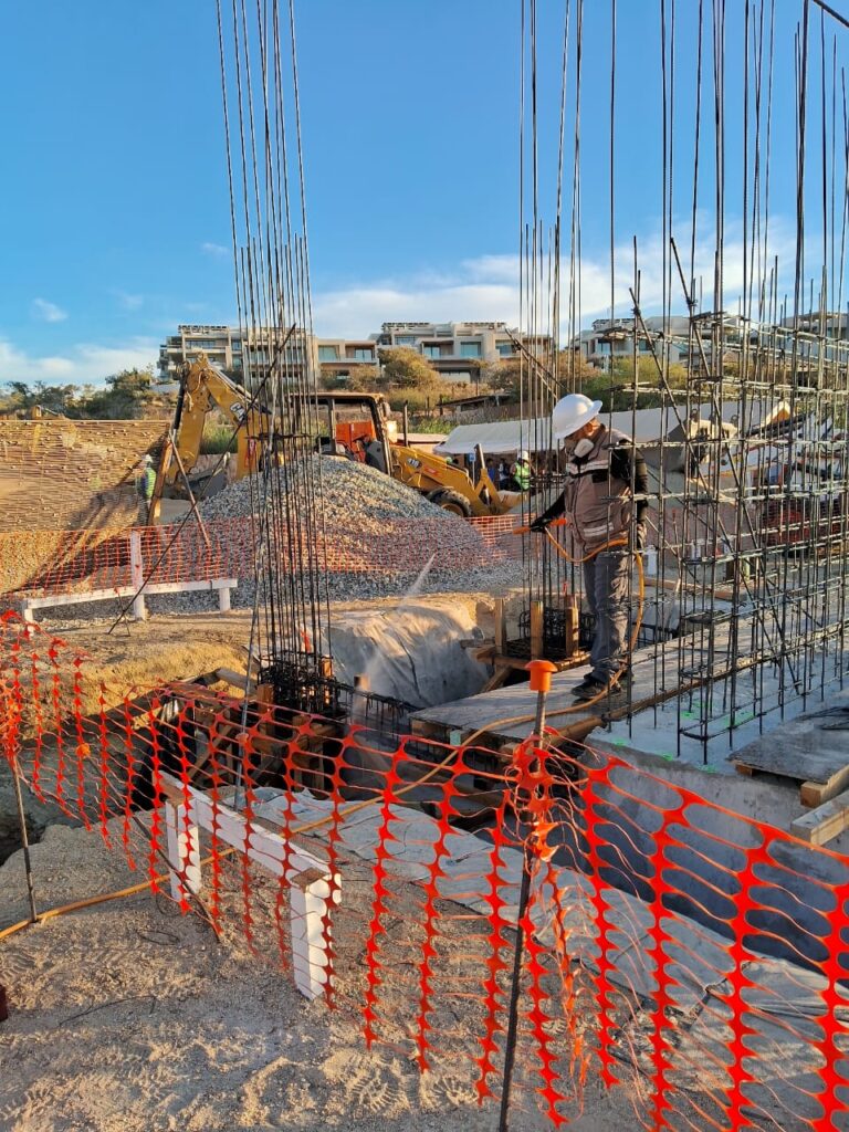 8646 fumigaciones los cabos 768x1024