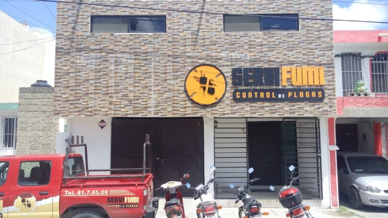 8672 servifumi plataplus 768x431